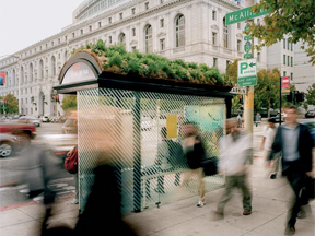 Green roof bus stop