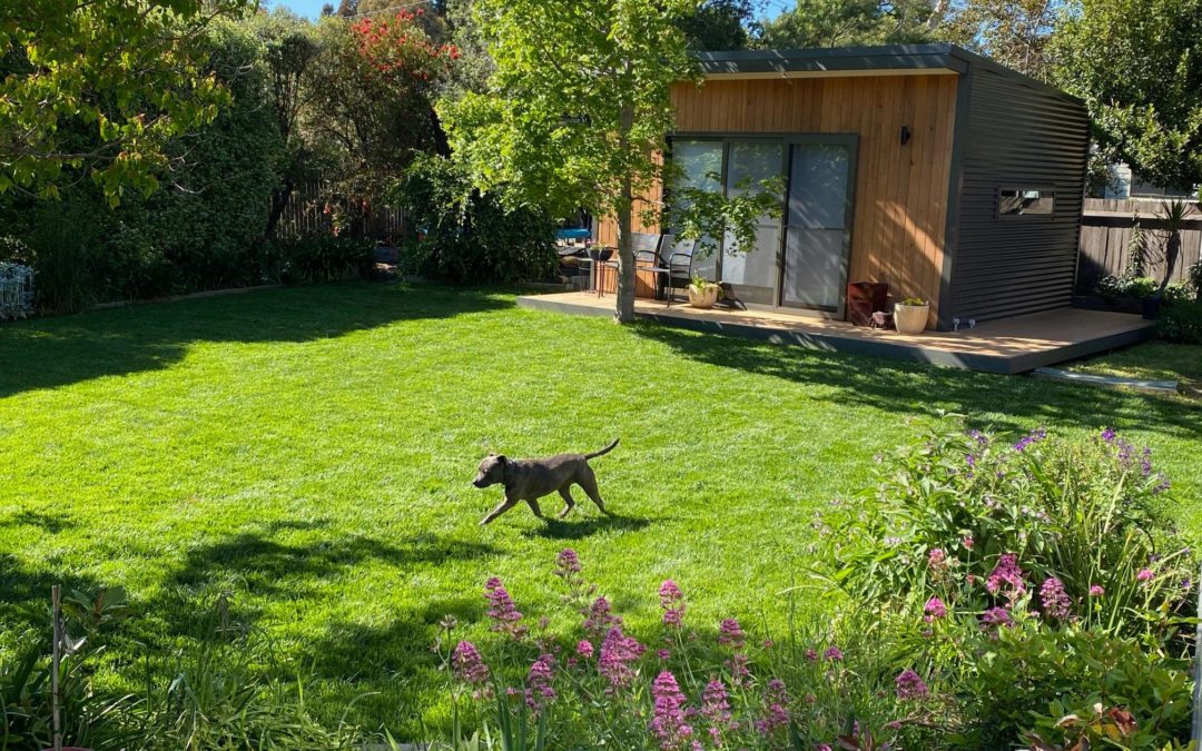 I appreciate this Canberra gardener