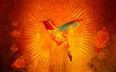 David Crowder Band, “After All”